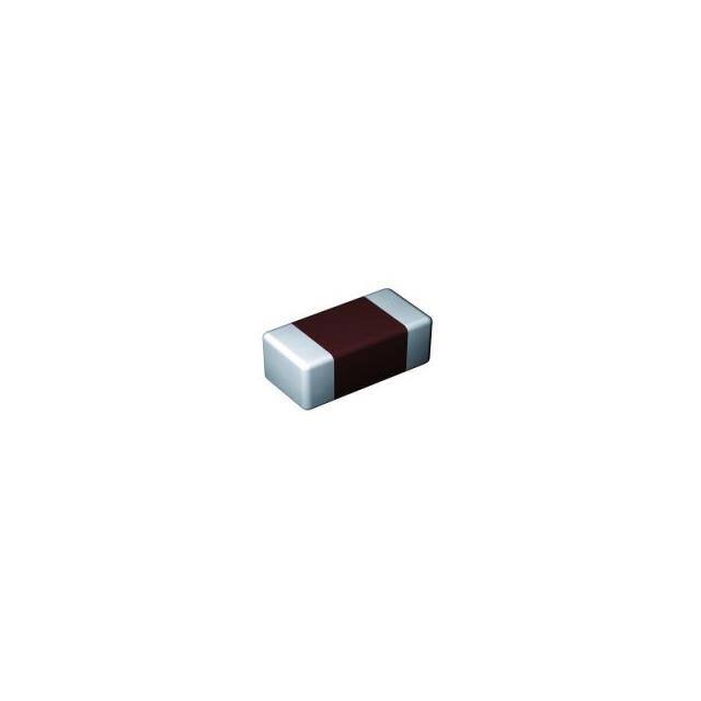 MSASE219SB5105KTNA01